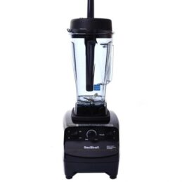 INDUSTRIAL BLENDER 2L